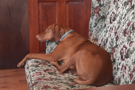 Thomas Stewart profile photo