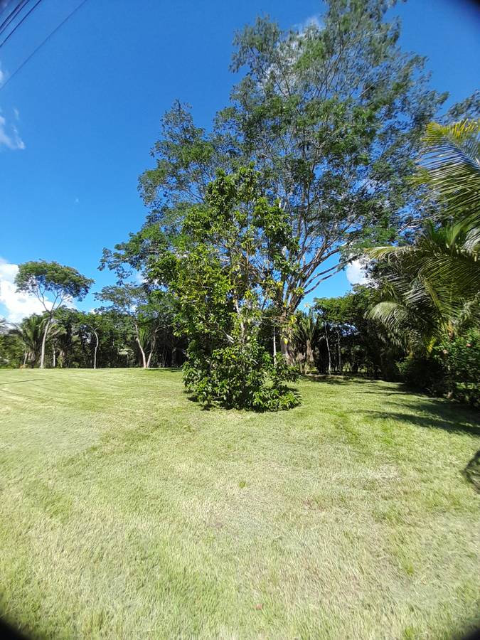 1.449 Acre Lot in Olde Mill Gated Community RealtyHive