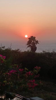 Diana D'oyley profile photo