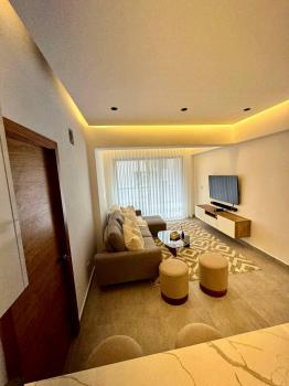 Ideal Furnished Apartment For Investment In Bella Vista, Santo Domingo, Dominican Republic