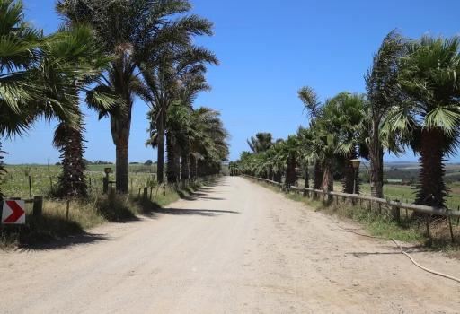 Land For Sale, Blanco, In George, South Africa