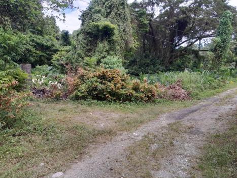 Land Plot For Sale, Unnamed Road (Portland Parish, Jamaica)
