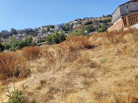 Land For Sale, Buena Vista (Tijuana, Mexico)