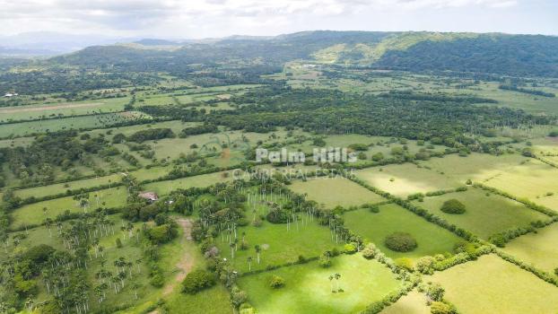 1.4 Million M2 Flat Land Sabaneta