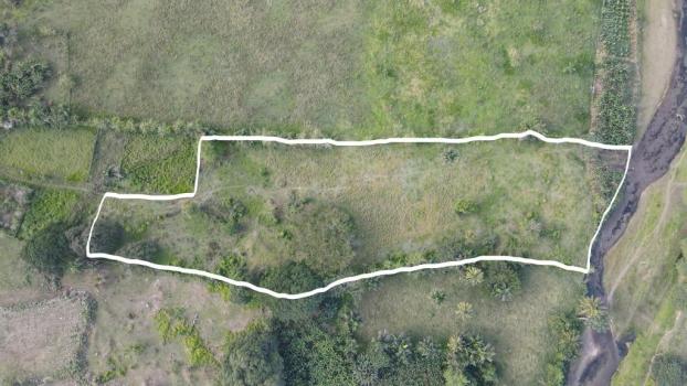 Tranquil Riverfront Farm – Perfect For Permaculture And Small-Scale Agriculture