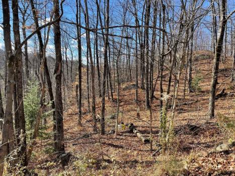 Land For Sale, Ch. Forest Hill, Saint-Adolphe-D'howard, Qc J0T1B0, Ca, In Saint-Adolphe-D'howard, Canada