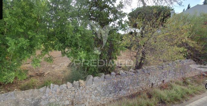 Rustic Land In Farrobo São Brás De Alportel