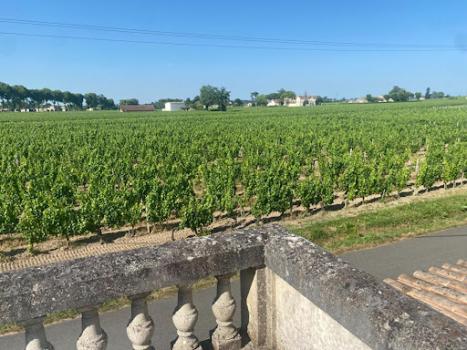 Commercial For Sale In Pomerol, France