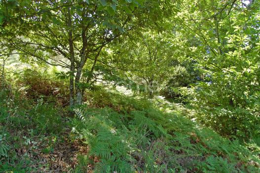 Land Plot For Sale In Melo, Portugal