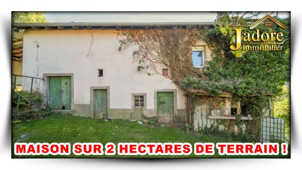 Vosges Farmhouse + Chalet On 1.5 Hectares