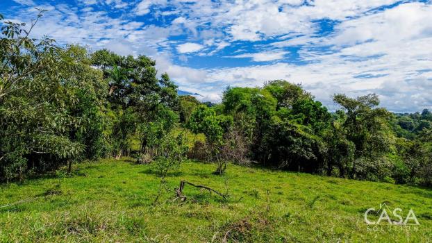 23-Hectare Land For Sale In Santa Rosa, Bugaba, Chiriquí