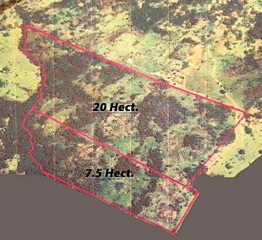 Paraguay - Unique Investment Opportunity  Building Land In A Paradise Of Nature