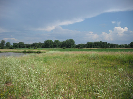 Stearns Drive (177 Acres)